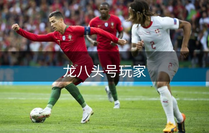网站概况